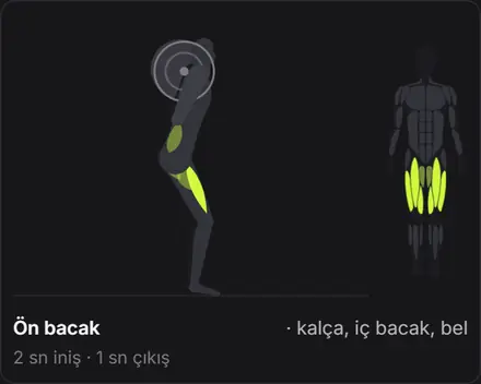 Squat hareketinin animasyonu ve çalışan kaslar